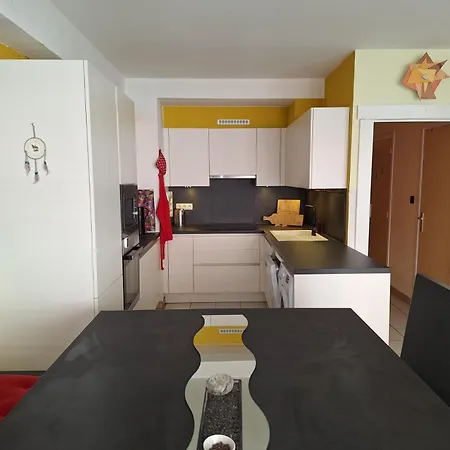 Apartamento Gelijkvloers In Hartje Ostend