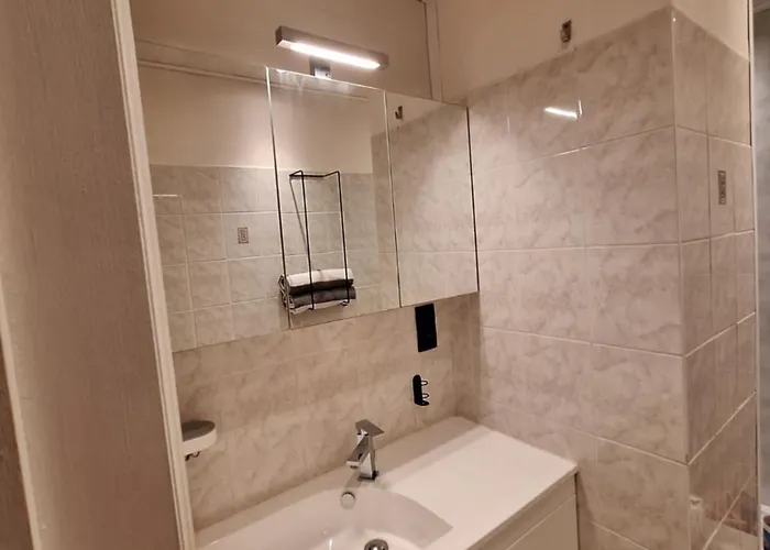 Appartement Gelijkvloers In Hartje Oostende